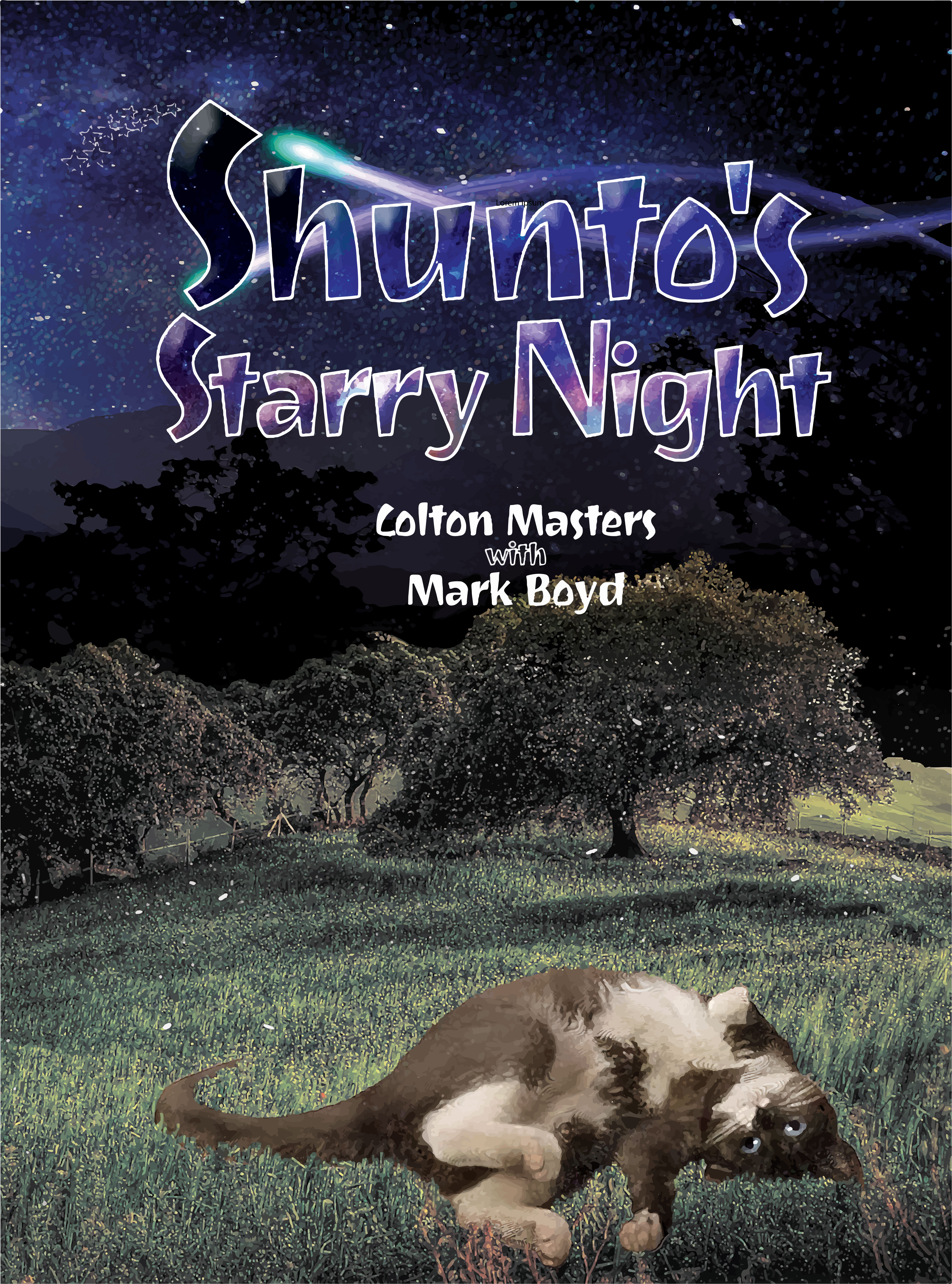 Shunto's Starry Night